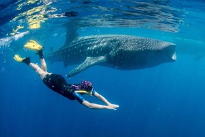 Maldivi otok Rasdhoo - 7417.jpg