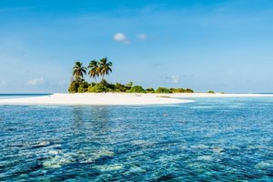 Maldivi otok Rasdhoo - 7418.jpg
