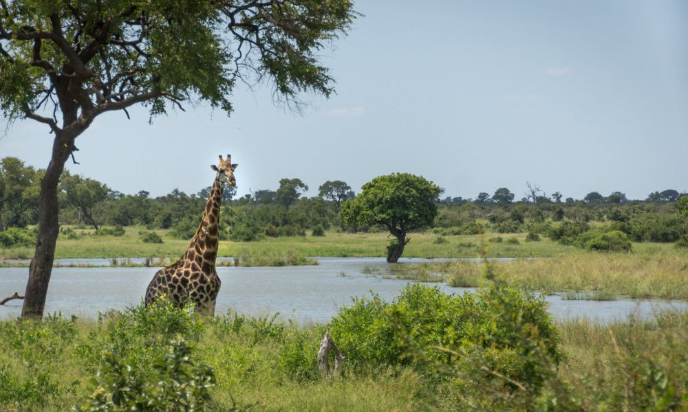 Južna Afrika - 7547.jpg