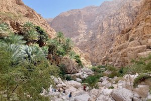 Oman - 7567.jpeg