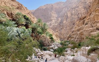 Oman - 7567.jpeg