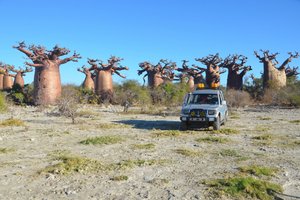 Madagaskar - 7804.JPG