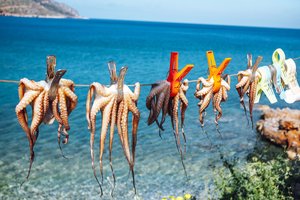 Kreta, avantura, Grčija - 7962.jpg