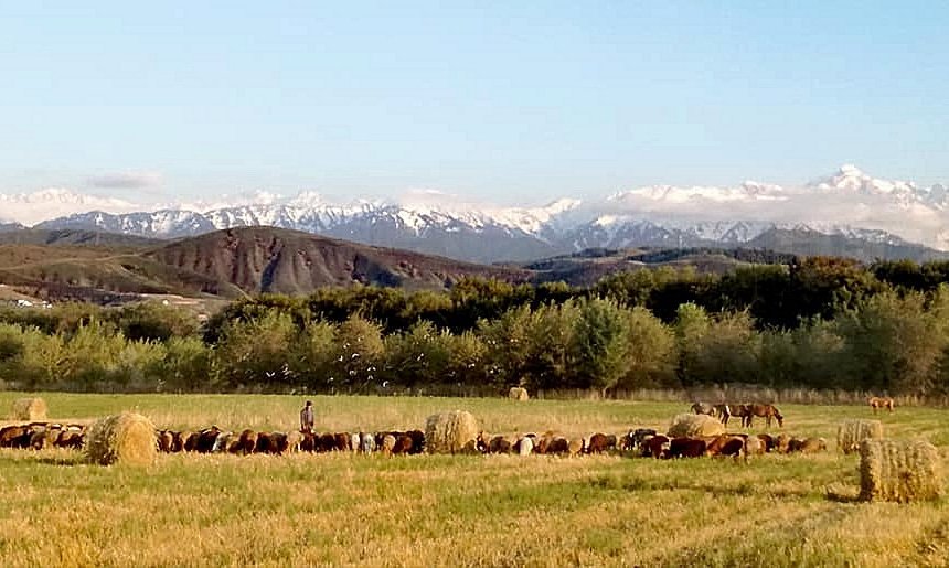 Kazahstan - 8097.jpg