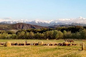 Kazahstan - 8097.jpg