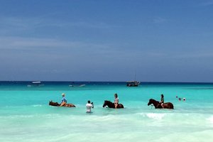 Zanzibar - 8144.jpg