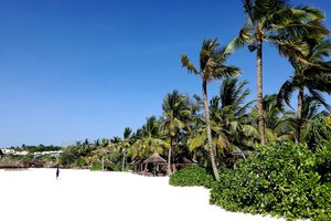 Zanzibar - 8145.jpg