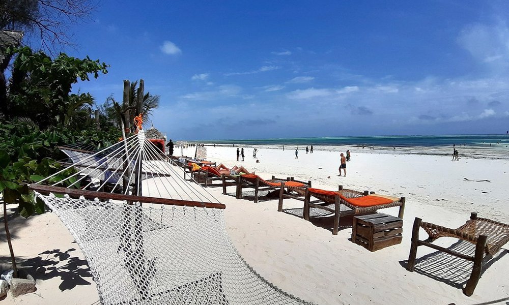 Zanzibar - 8150.jpg