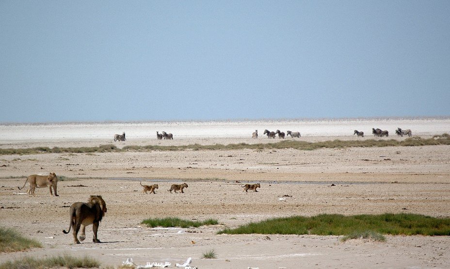 Namibija, z overlanderjem - 8159.JPG