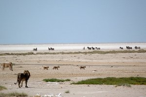 Namibija, z overlanderjem - 8159.JPG