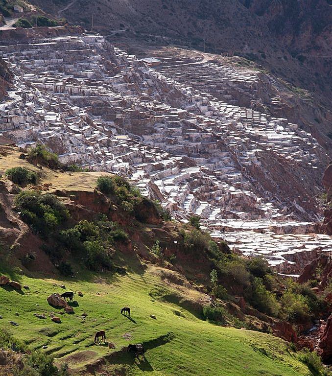 Južna Amerika, biseri: Peru, Bolivija in Čile - 8170.jpg