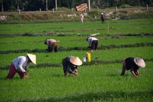 Vietnam in jug Kitajske - 8256.JPG