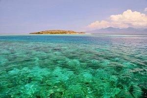 Indonezija: Bali in Lombok - 8310.JPG