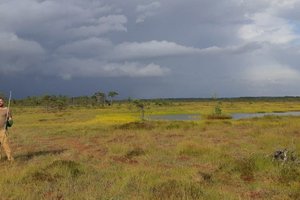 Baltik roadtrip (Litva, Latvija, Estonija) - 8370.jpg