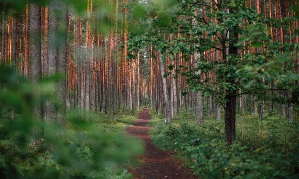 Baltik roadtrip (Litva, Latvija, Estonija) - 8393.jpg