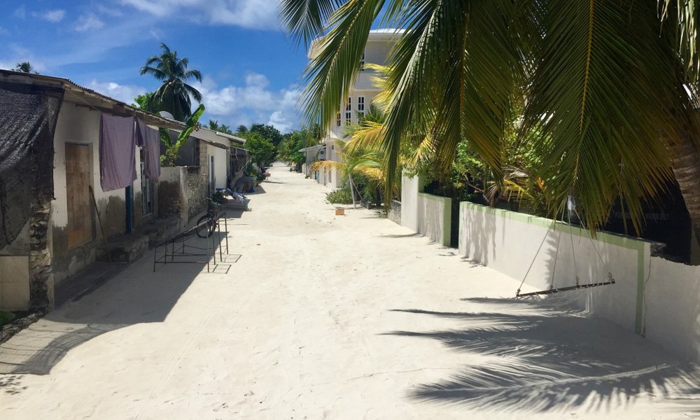 Maldivi, Baa atol in mante - 8427.jpg