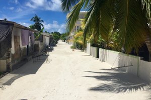 Maldivi, Baa atol in mante - 8427.jpg