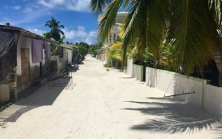Maldivi, Baa atol in mante - 8427.jpg