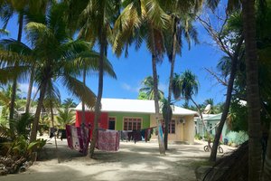 Maldivi, Baa atol in mante - 8428.jpg