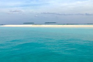 Maldivi, Baa atol in mante - 8432.jpg