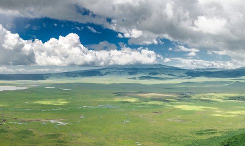 Ngorongoro