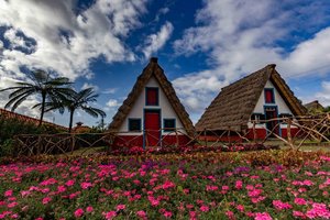 Madeira - 8493.jpg