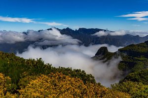 Madeira - 8504.JPG
