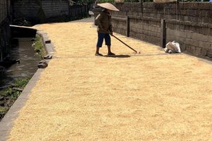 Bali, za družine - 8543.jpg