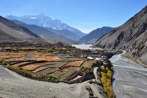 Nepal: treking Mustang - 8651.jpg