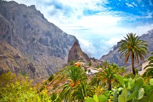 Kanarski otoki: Tenerife in La Gomera - 8737.jpg