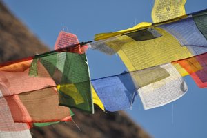 Nepal: treking Manaslu in Annapurna - 8849.jpg