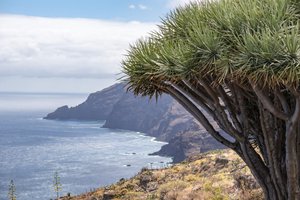 Severni del La Palme, naravno zaščiteno področje