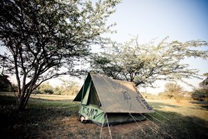 Kenija: safariji in rajske plaže - 8972.jpg