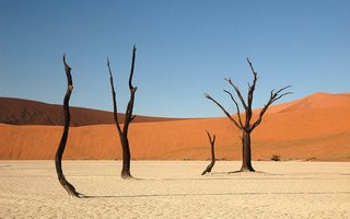 Namibija L, z jeepi - 9834.JPG