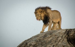 TanzanijaL: lov s Hadzabami, trek z Masaji, safari in Zanzibar - 9937.jpg