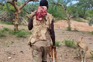TanzanijaL: lov s Hadzabami, trek z Masaji, safari in Zanzibar - 9947.jpg